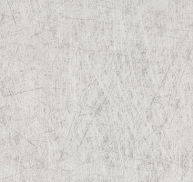 Линолеум Forbo Eternal Material 13772 brushed aluminium фото 1 | FLOORDEALER